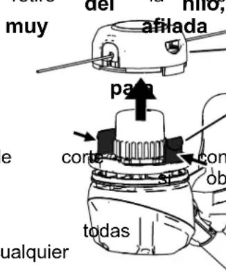 TORO 51831T - Cambio - 1