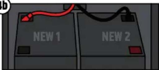 NEW 1 NEW 2