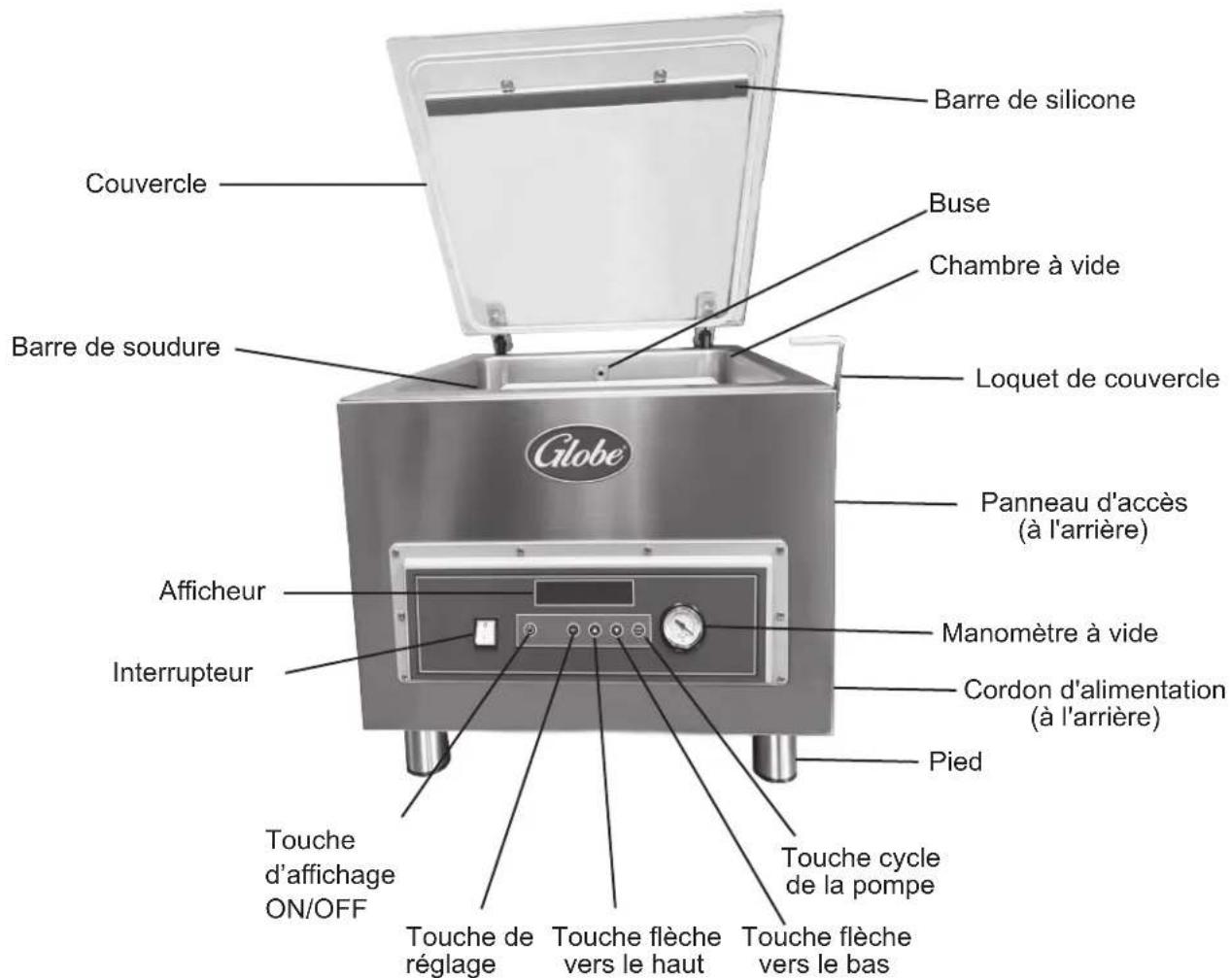 Globe GVP20 - Composants clés de la MACHINE D'EMBALLAGE SOUS VIDE - 1