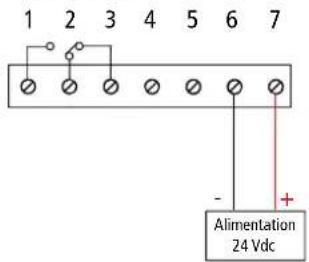 1 2 3 4 5 6 7 - + Alimentation 24 Vdc