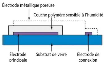 Électrode métallique poreuse Couche polymère sensible à l'humidité Électrode principale Substrat de verre Électrode de connexion