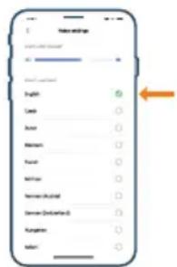 PHILIPS HomeRun 5000 XU5000 - Setați limba alertelor vocale - 1