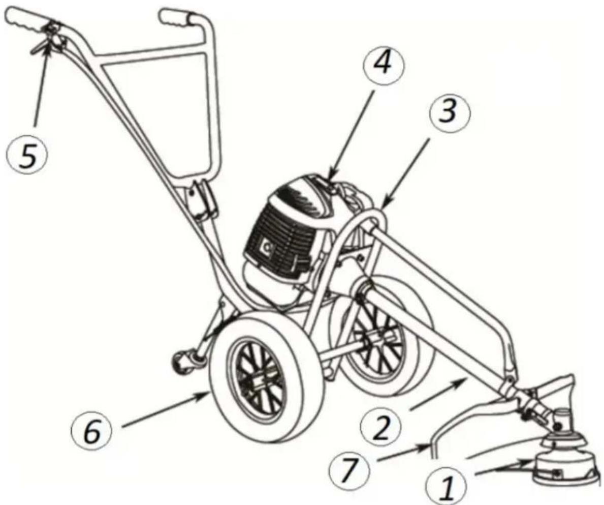 Hillvert HT-HBC-500 - Description de l'appareil - 1