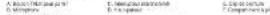 LEXIBOOK Stitch RPTW12D - 11