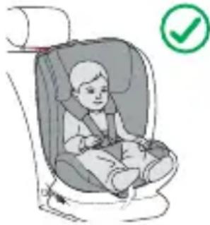 Lionelo Harmony i-Size - INSTALLAZIONE NELL'AUTO - 2