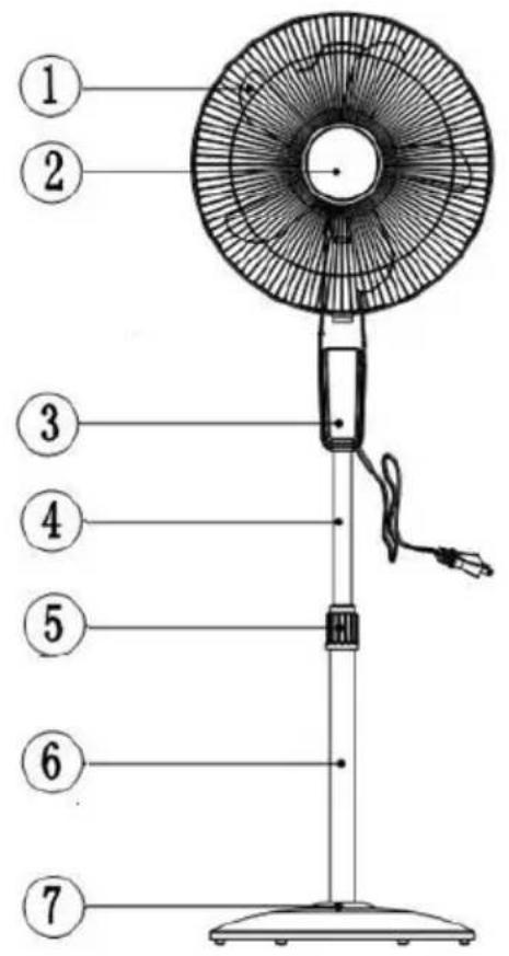 El Corte Inglés FS01-16AR - DESCRIPCIÓN - 1