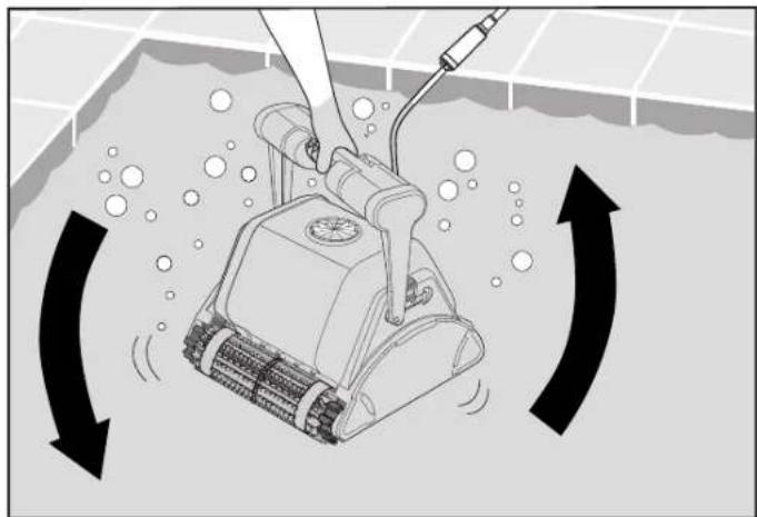 DOLPHIN PROX 2 - Putting the Pool Cleaner into the pool - 1
