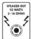 HUGHES & KETTNER WARP 212 - SPEAKER OUTPUTS: - 2