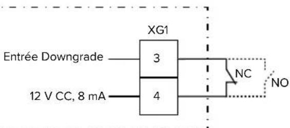 XG1 3 4 Entrée Downgrade NC NO 12 V CC, 8 mA