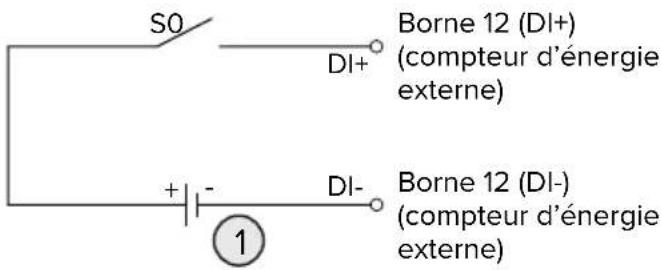 S0 DI+ Borne 12 (DI+) (compteur d'énergie externe) + - DI- Borne 12 (DI-) (compteur d'énergie externe) 1