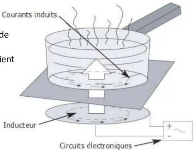 Adventys KTI2 - A l'attention des porteurs de stimulateurs cardiaques et implants - 1