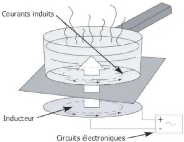Adventys INDUC-STONE - A l'attention des porteurs de stimulateurs cardiaques et implants - 1