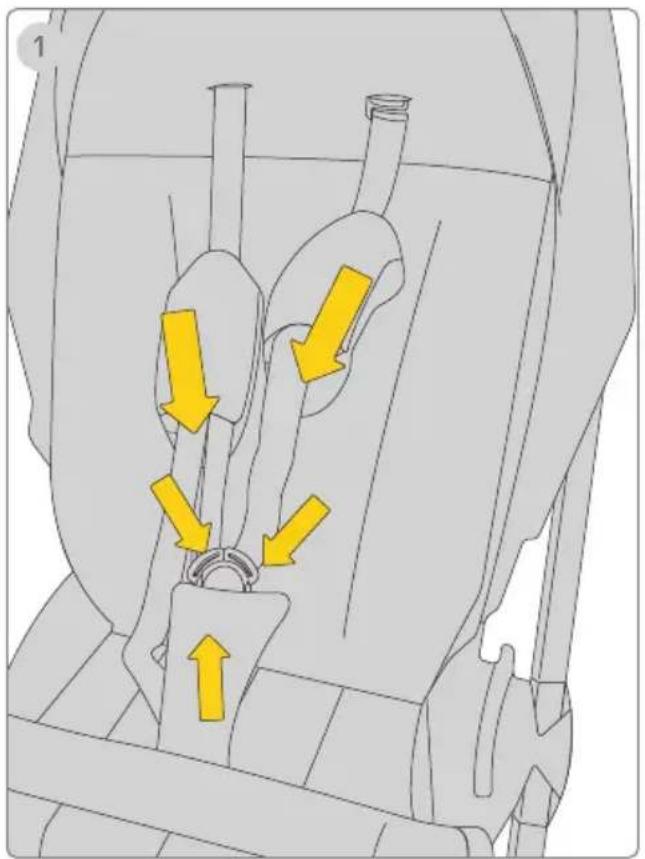 Avionaut Sirius - Insert - 1