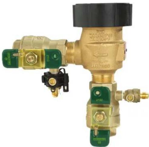 Watts 800M4-QT-FZ - Essai - 1