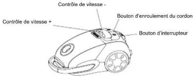 Contrôle de vitesse - Contrôle de vitesse + Bouton d'enroulement du cordon Bouton d'interrupteur