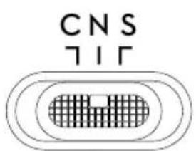 CNS T1F