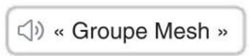 Sena Outrush 2 - Joindre un Group Mesh existant - 3