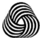 CANDY BS H9N3B-S - Lana certificata - 1
