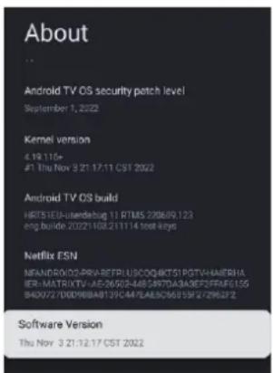 HAIER H43Q81FUX - INFORMAZIONI - 2