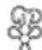 Cleanmaxx 08658 - FR - 2