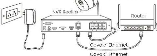 REOLINK P334 - Diagramma di Collegamento - 1