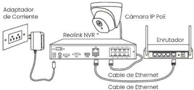 REOLINK P334 - Diagrama de Conexión - 1