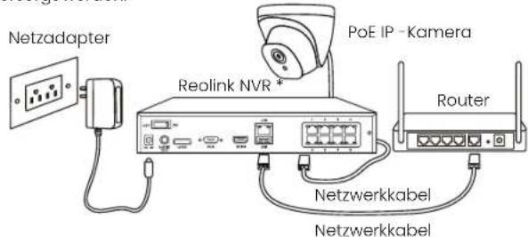REOLINK P334 - Diagramm für Kameraanschluss - 1