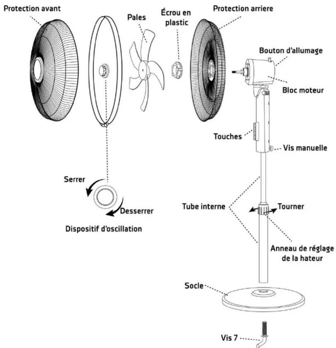 Protection avant Pales Écrou en plastic Protection arriere Bouton d'allumage Bloc moteur Touches Vis manuelle Tube interne Tourner Anneau de réglage de la hateur Socle Vis 7 Serrer Desserrer Dispositif d'oscillation