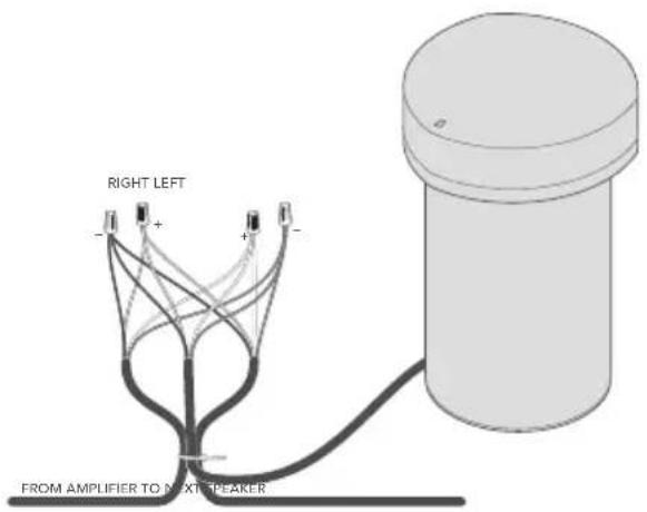 DEFINITIVE TECHNOLOGY Dymension Outdoor LS-100 - Installing the Subwoofer - 1