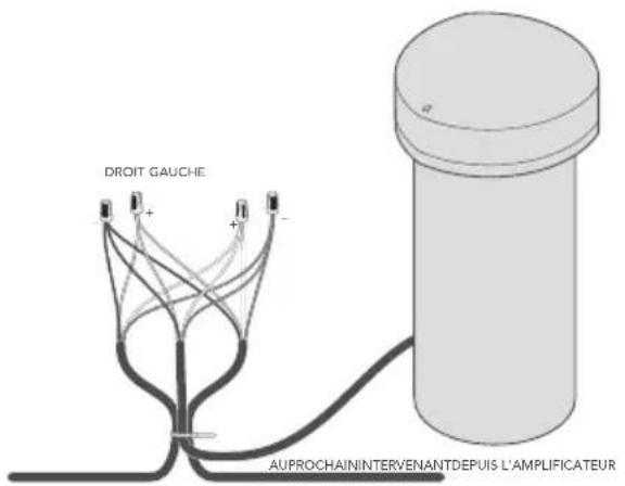 DEFINITIVE TECHNOLOGY Dymension Outdoor LS-100 - Installation du subwoofer - 1