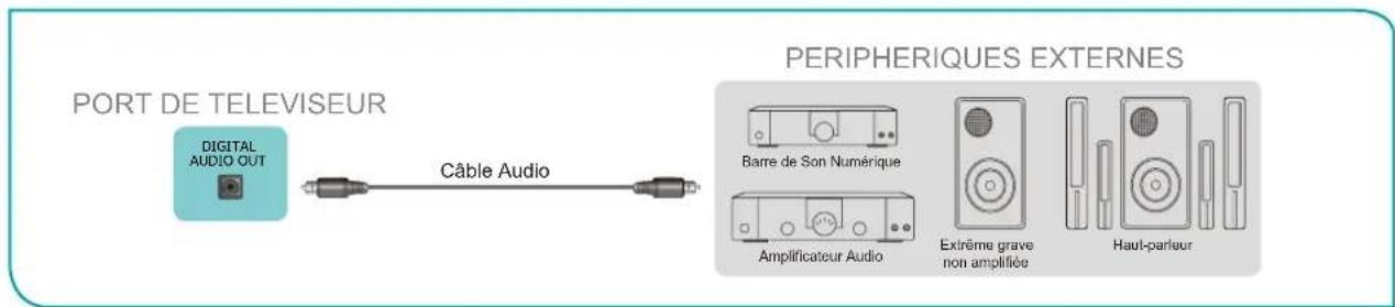 HISENSE 65A6Q - Connexion de haut-parleurs ou d'autres récepteurs audio - 1