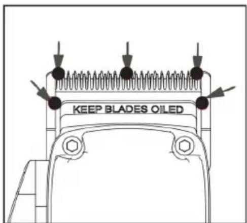 CECOTEC PrecisionCare Expert Diamond Pro - Image 1 - 9