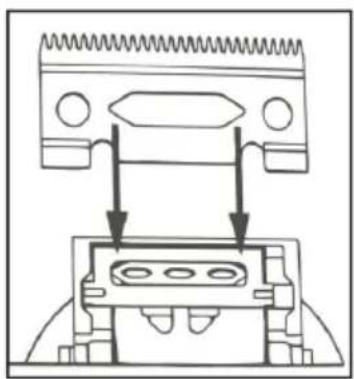 CECOTEC PrecisionCare Expert Diamond Pro - Image 1 - 8