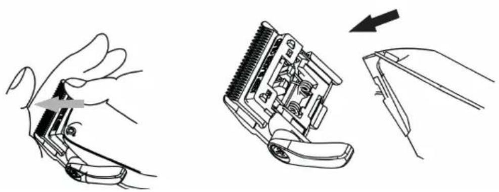 CECOTEC PrecisionCare Expert Diamond Pro - Image 1 - 4