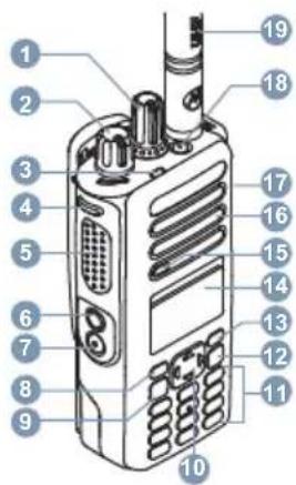 MOTOROLA MOTOTRBO XPR7550 - English - 1