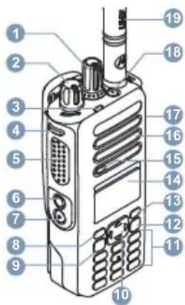 MOTOROLA MOTOTRBO XPR 7000e - Computer Software Copyrights - 1
