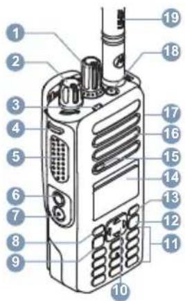 MOTOROLA MOTOTRBO XPR 7000e - Commandes de la radio - 1