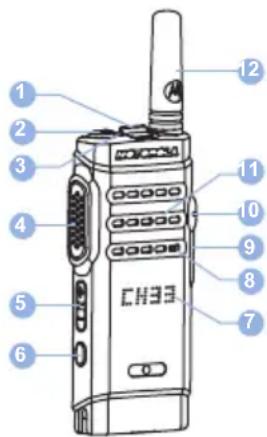 MOTOROLA MOTOTRBO SL1600 - Commandes de la radio - 1