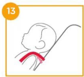Joie Signature i-Prodigi Pro - enhanced child restraint - 16