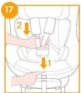 Joie Signature i-Prodigi Pro - enhanced child restraint - 18