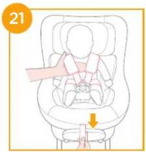 Joie Signature i-Prodigi Pro - enhanced child restraint - 22