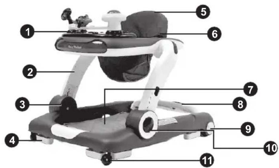 Chipolino Little Explorer - 1
