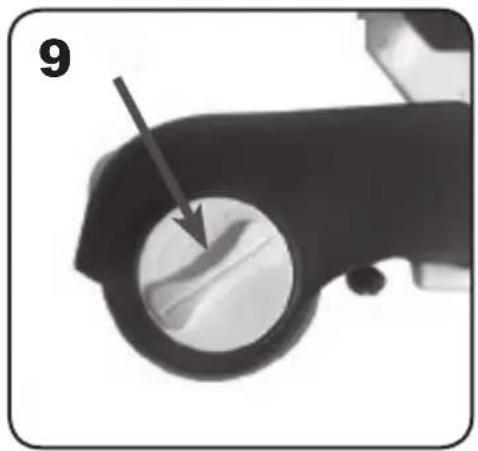 Chipolino Little Explorer - 11