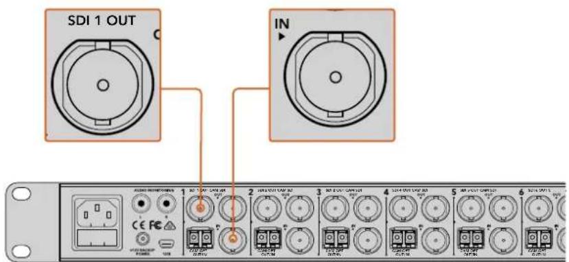 Blackmagic Design ATEM Microphone Converter - 连接摄影机 - 1