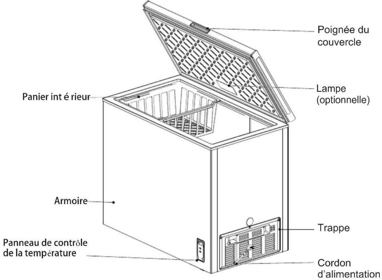 Poignée du couvercle Lampe (optionnelle) Panier int é rieur Armoire Trappe Cordon d'alimentation Panneau de contrôle de la température