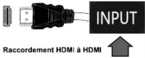 INPUT Raccordement HDMI à HDMI