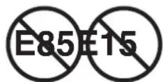 WESTINGHOUSE iGen11000TFc - AVIS - 1