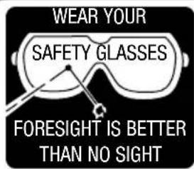 Genesis GLGST20B - Look for this symbol to point out important safety precautions. It means attention!!! Your safety is involved. - 2