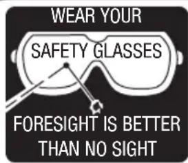Genesis GLGBS20B - Look for this symbol to point out important safety precautions. It means attention!!! Your safety is involved. - 2