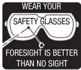 Genesis GLJS20B - Look for this symbol to point out important safety precautions. It means attention!!! Your safety is involved. - 2